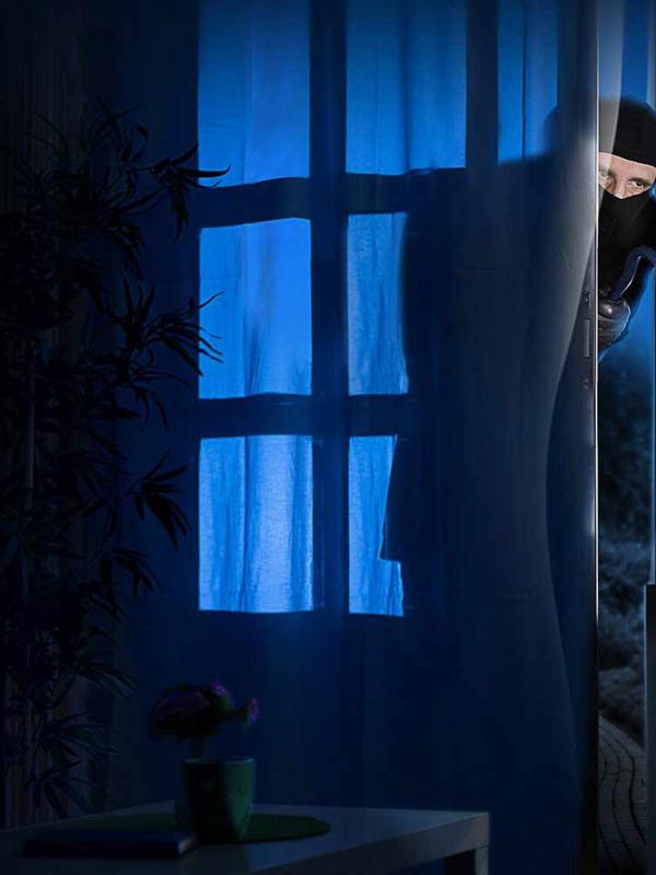 Seguridad en la conexión a Internet y domótica